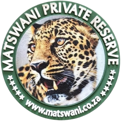 IMG-20241012-WA0017